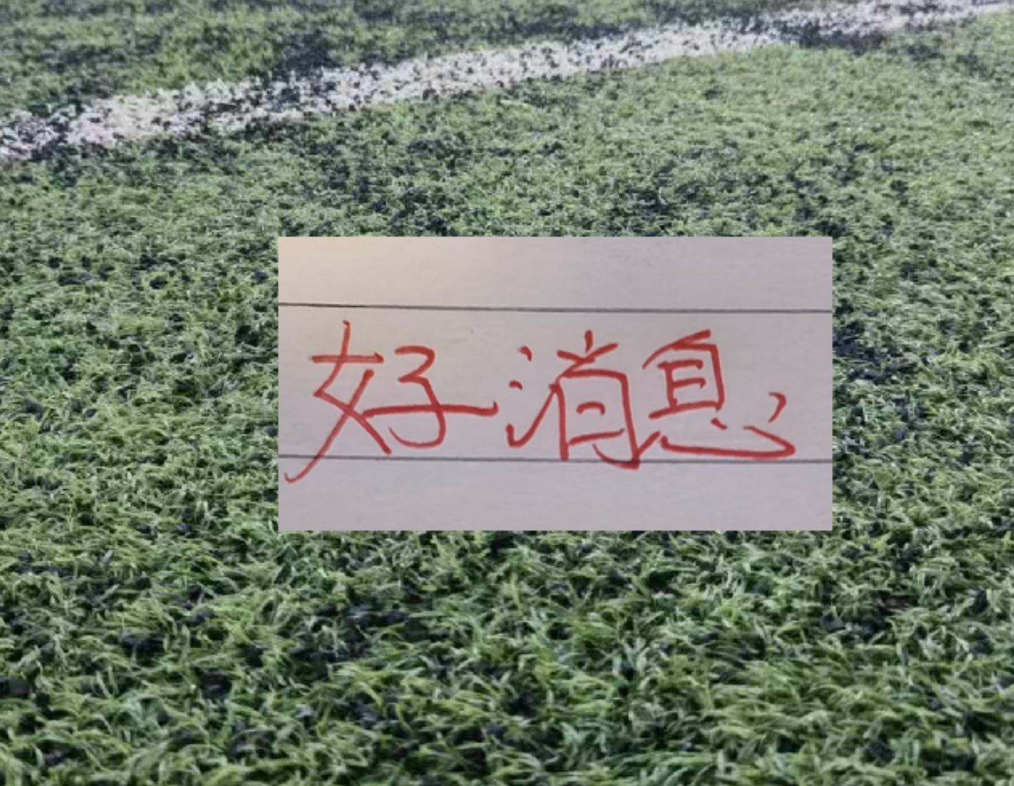 这是一场假球?西班牙队世界杯首秀战平佛得角,引发外界热议! 这是一场假球?西班牙队世界杯首秀战平佛得角,引发外界热议!